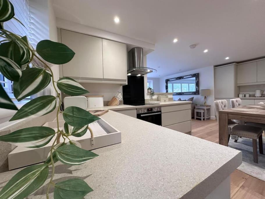 شقة 2Bed Ground Floor Flat + Garden Sunningwell المظهر الخارجي الصورة